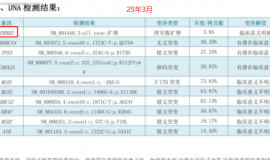 无靶点 her2扩增 二线白紫耐药后怎么办