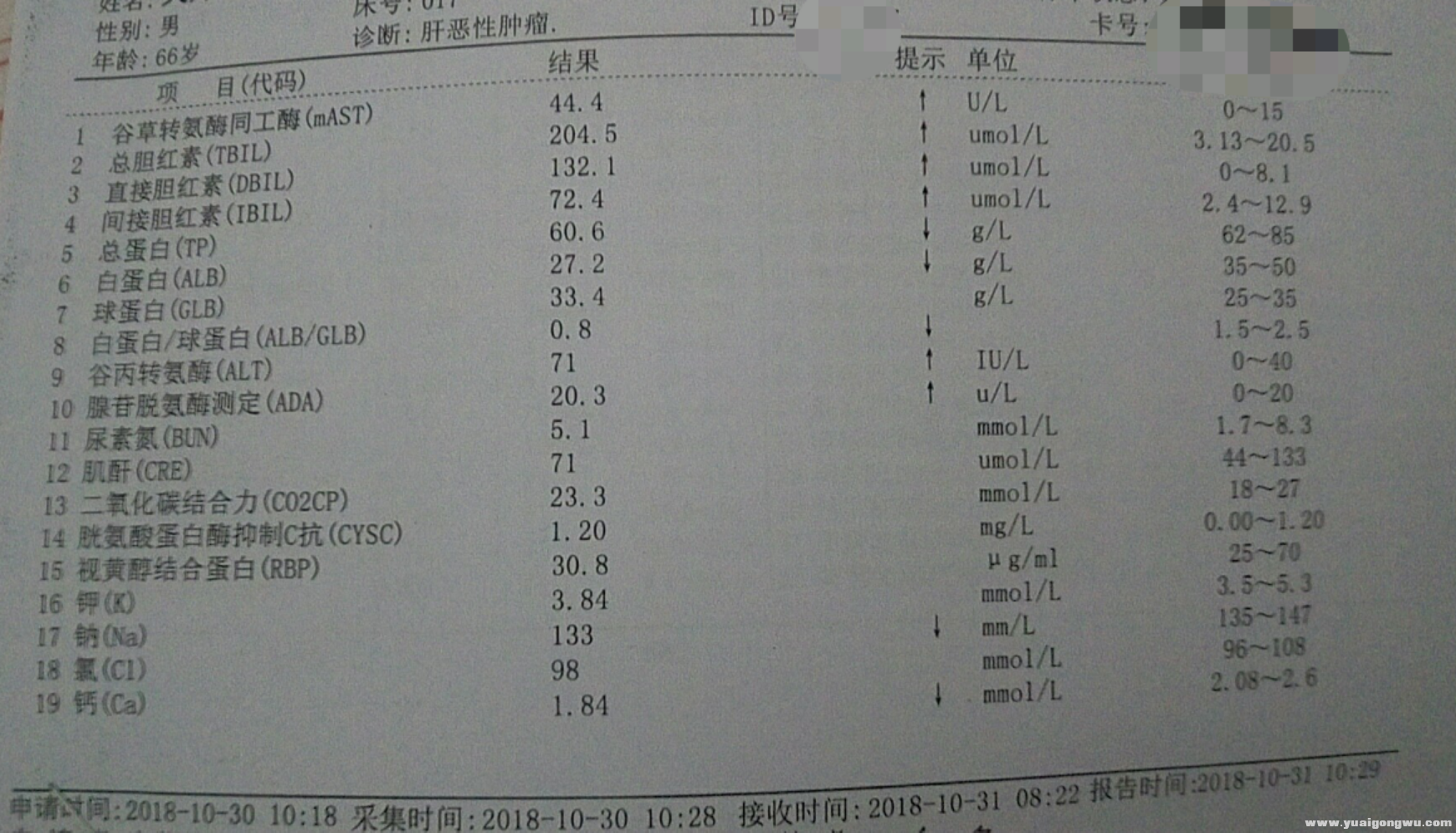 最近的验血报告