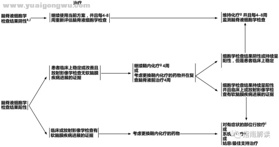 中枢神经系统肿瘤7819.png