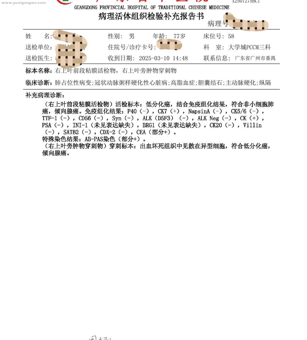 病理补充报告